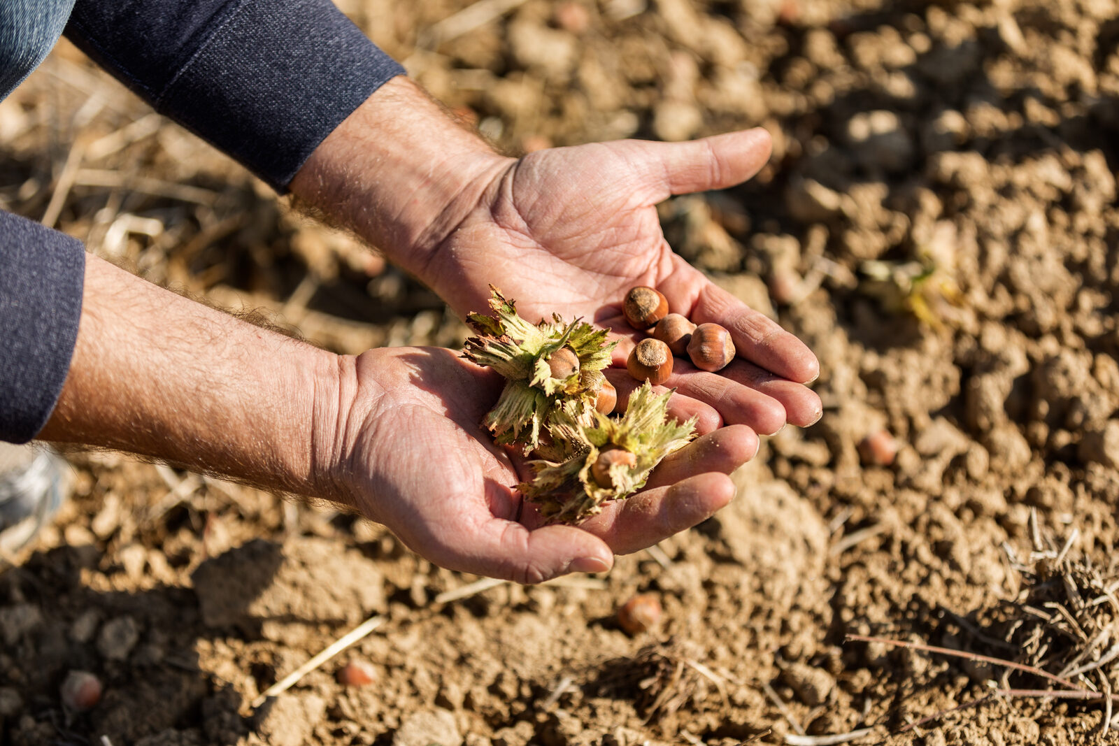 Stručna podrška u svim fazama