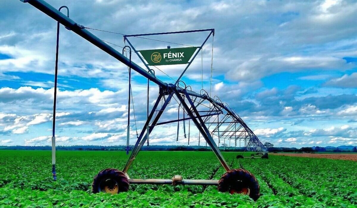 Fénix Linearni sistem