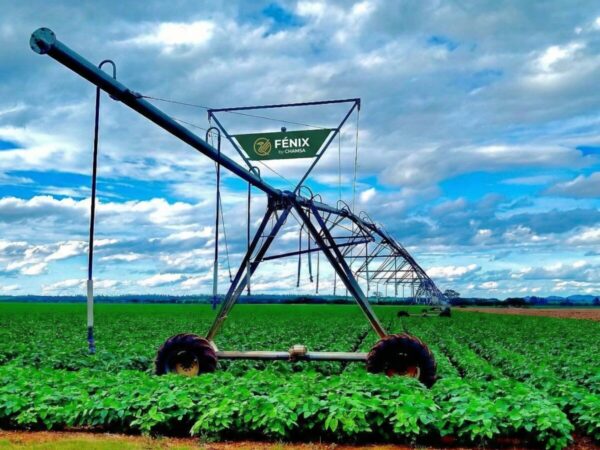 Fénix Linearni sistem