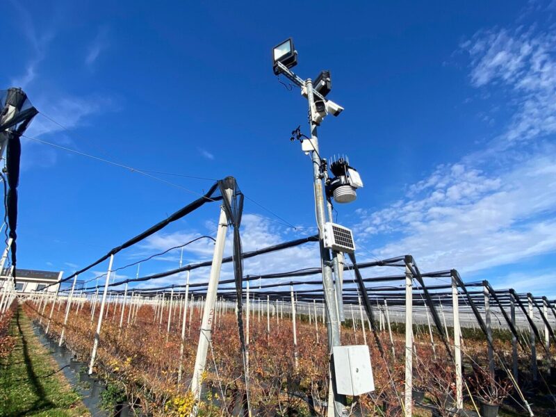 Meteorološka stanica — plantaža borovnica