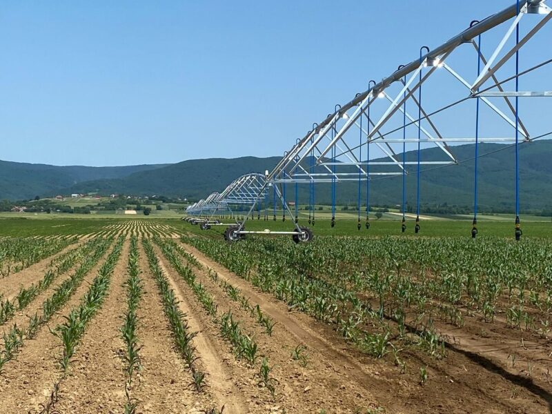 Pivot sistem — navodnjavanje kukuruza